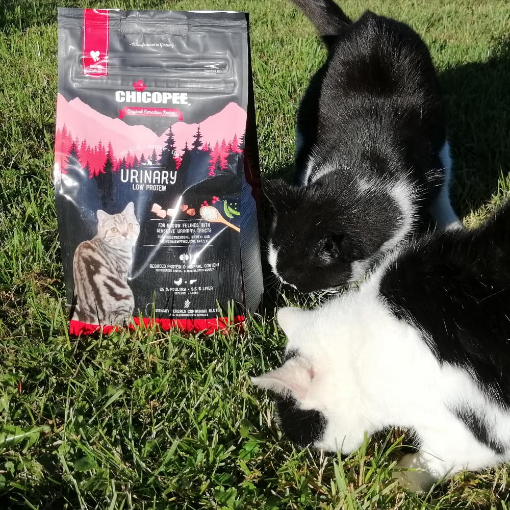 Chicopee Holistic Nature Line | Adult Urinary | Katzenfutter trocken | Geflügel & Leber | Unterstützt Harnwege | ohne glutenhaltiges Getreide | Inspiriert von der Natur Kanadas | 8 kg