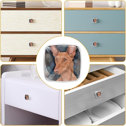 Miniatura 6 de Anna Cowper 4 Pack 1.2 Inch Cabinet Knobs White Square Knobs for Cabinets and Drawers Single Hole Cabinet Hardware Kitchen Cabinet Knobs Closet Door