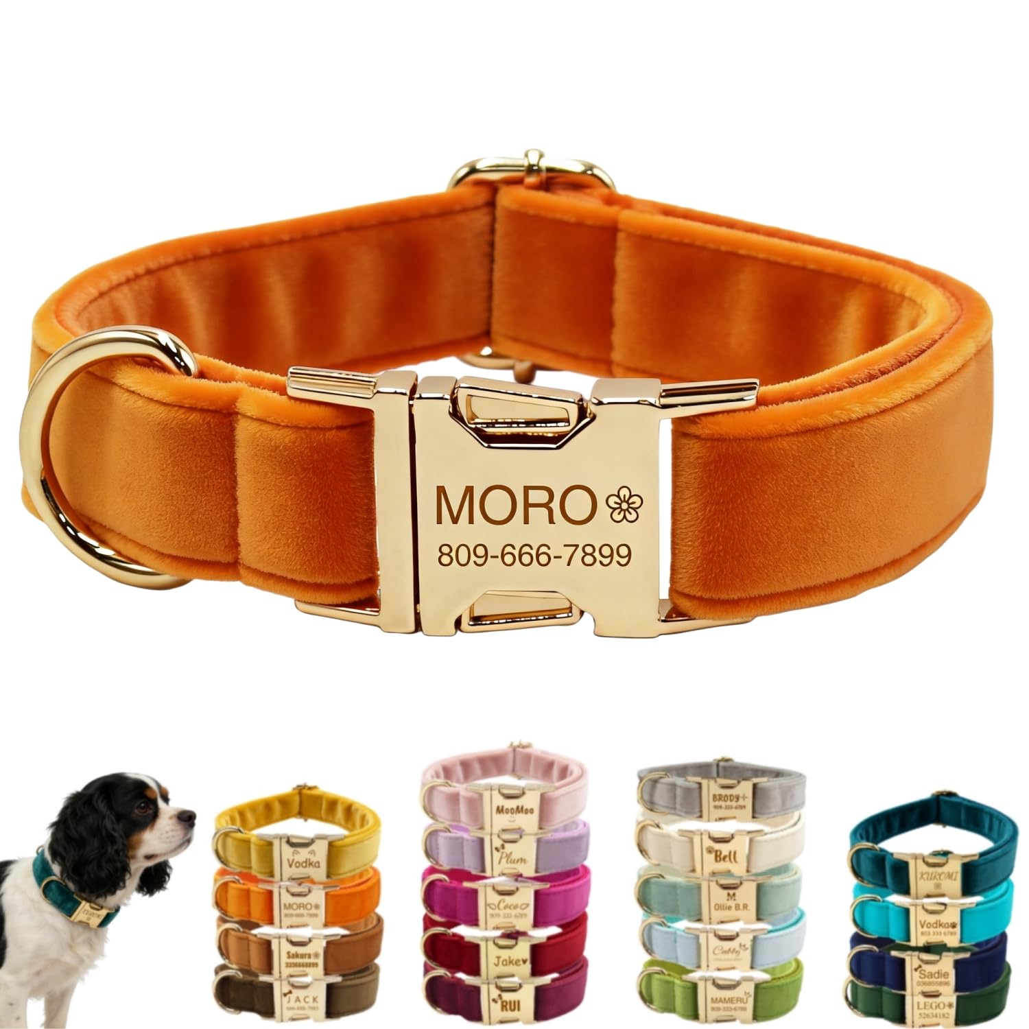 Personalised Velvet Dog Collar with Engraved Name & Phone Number, Luxury Double-Sided Soft Plush Pet Collar for Small Medium Large Dogs & Cats, Adjustable ID Collar with Gold Metal Buckle