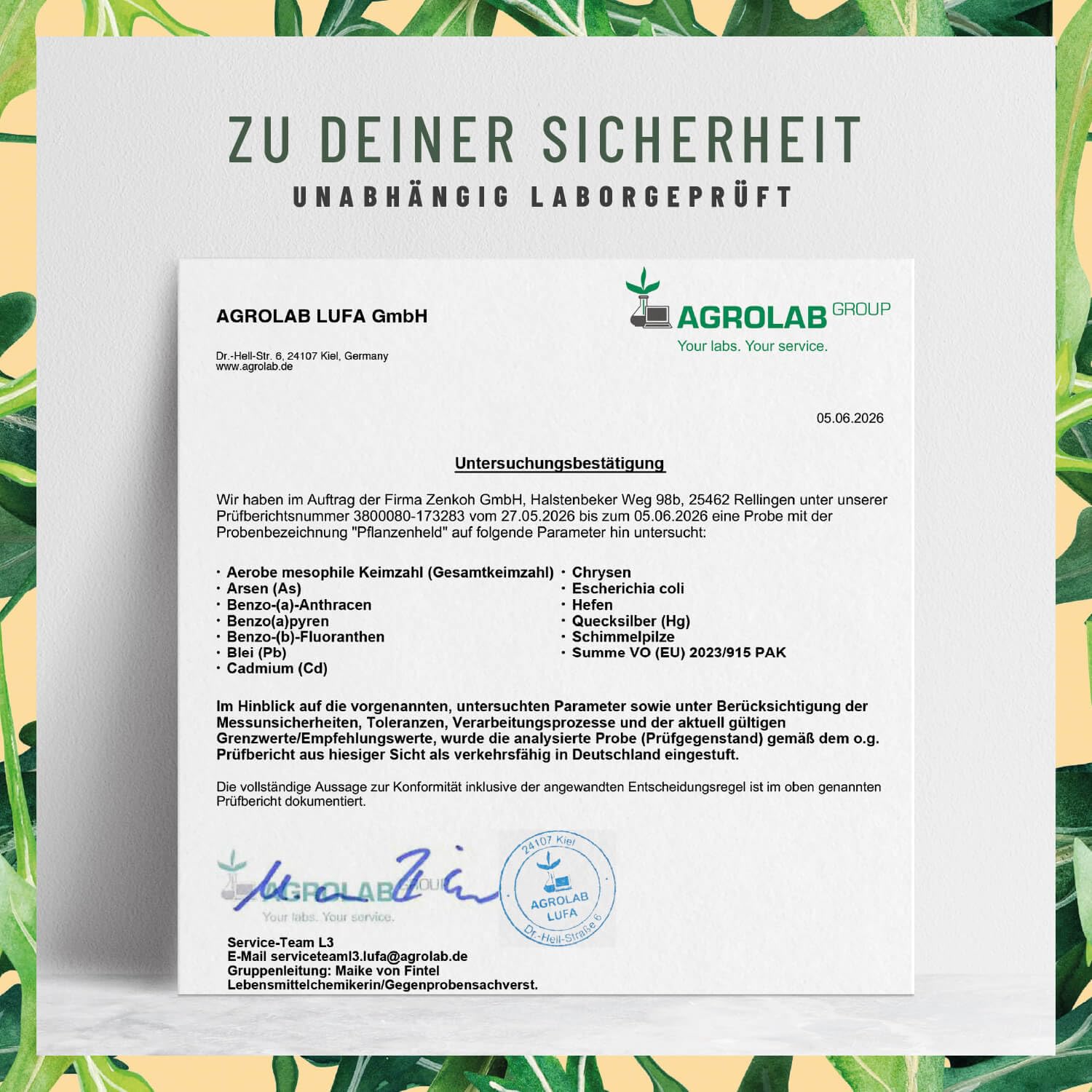 NATURTREU® Vitamin Kapseln Vegan - 360 Kapseln für Veganer und Vegetarier | Daily Vitamins mit B12, Eisen, Zink, Calcium, Magnesium & Vitamin A - Vegan Multivitamin ohne Jod - Vorteilsbundle 3er Paket