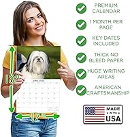 Vista 1172 de Razas de Perros 2017