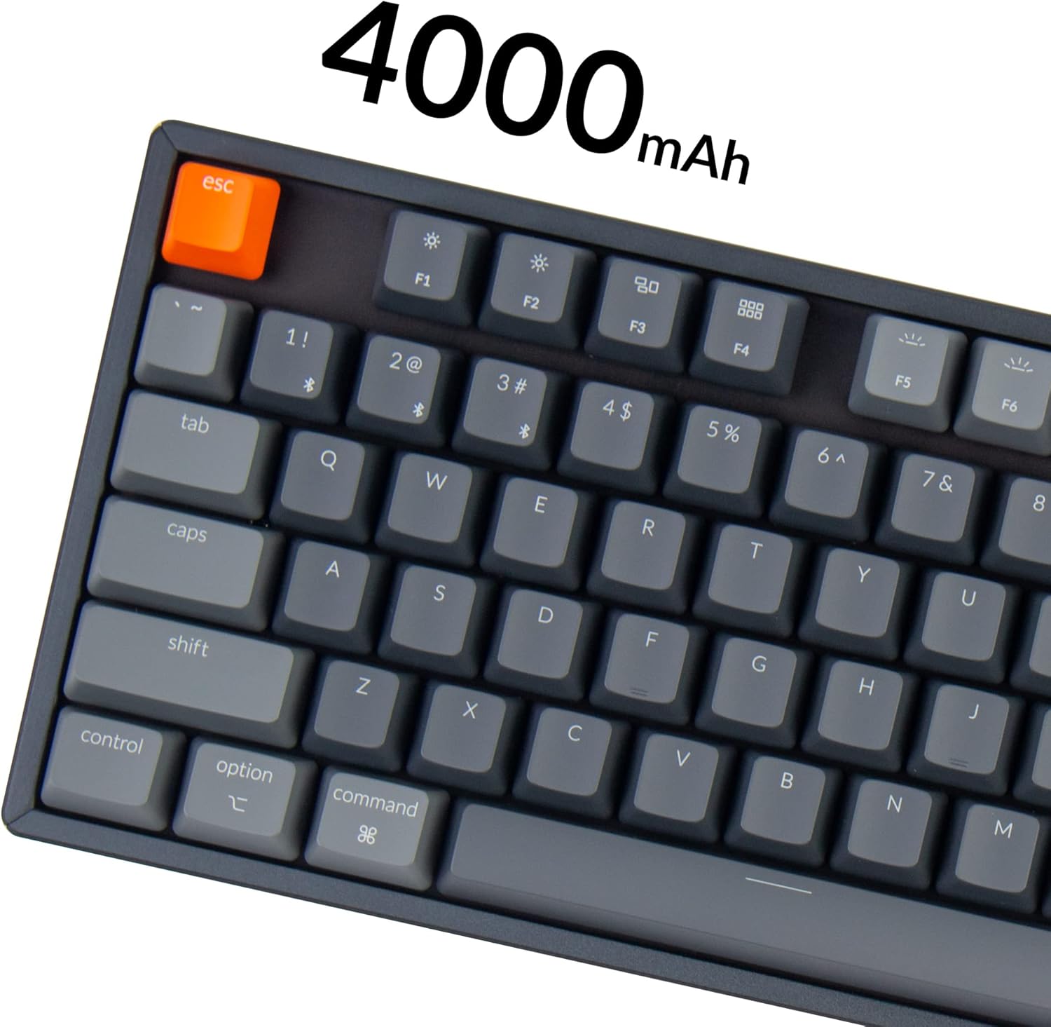 Keychron K8 Tenkeyless Layout RGB Hot-swappable Bluetooth Wireless Mechanical Keyboard with Gateron Optical Blue Switch, Multitasking, Type-C Wired Computer Keyboard for Mac Windows, Aluminum Frame