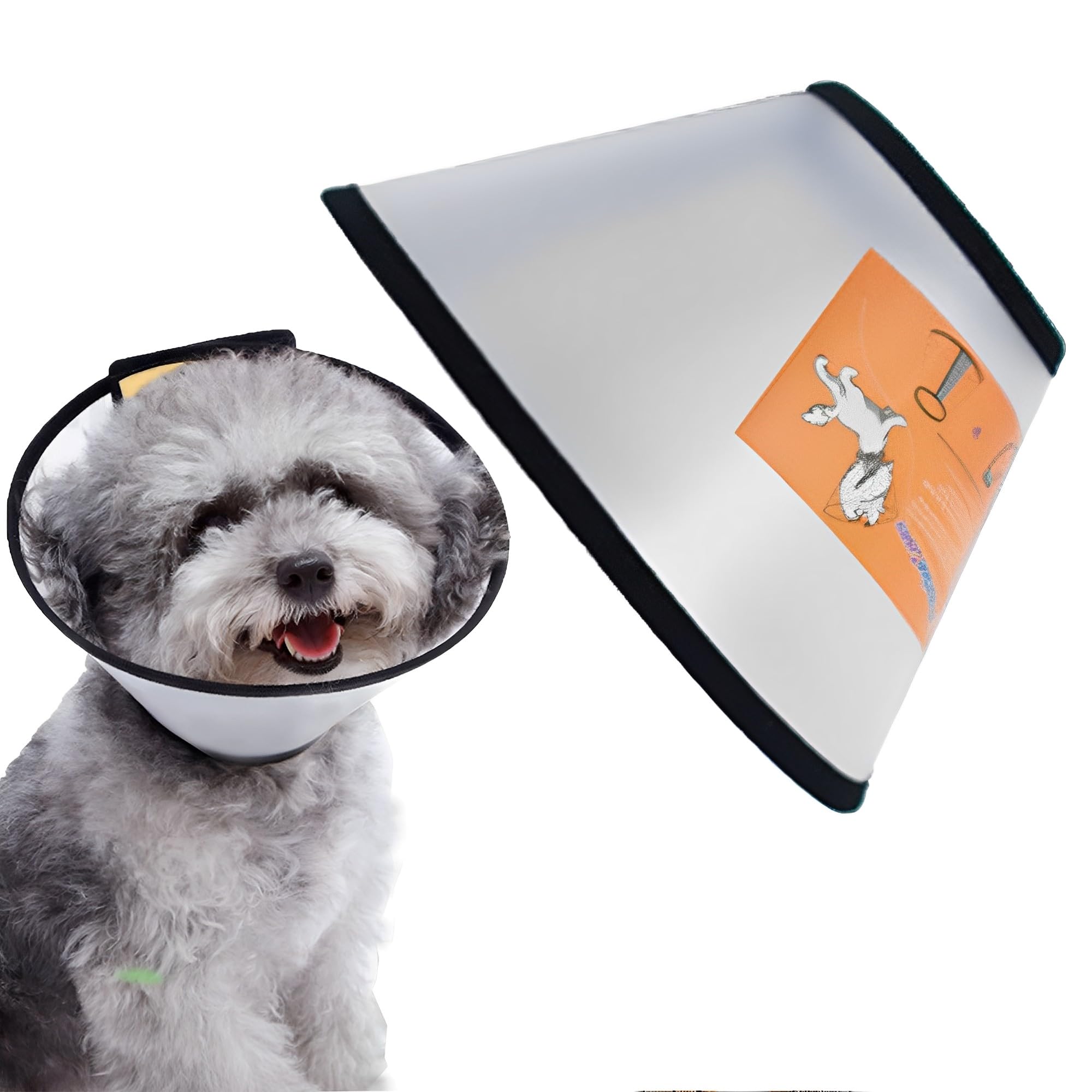 TOP 10 ᐈ Mejores Collar Isabelino Para Perros