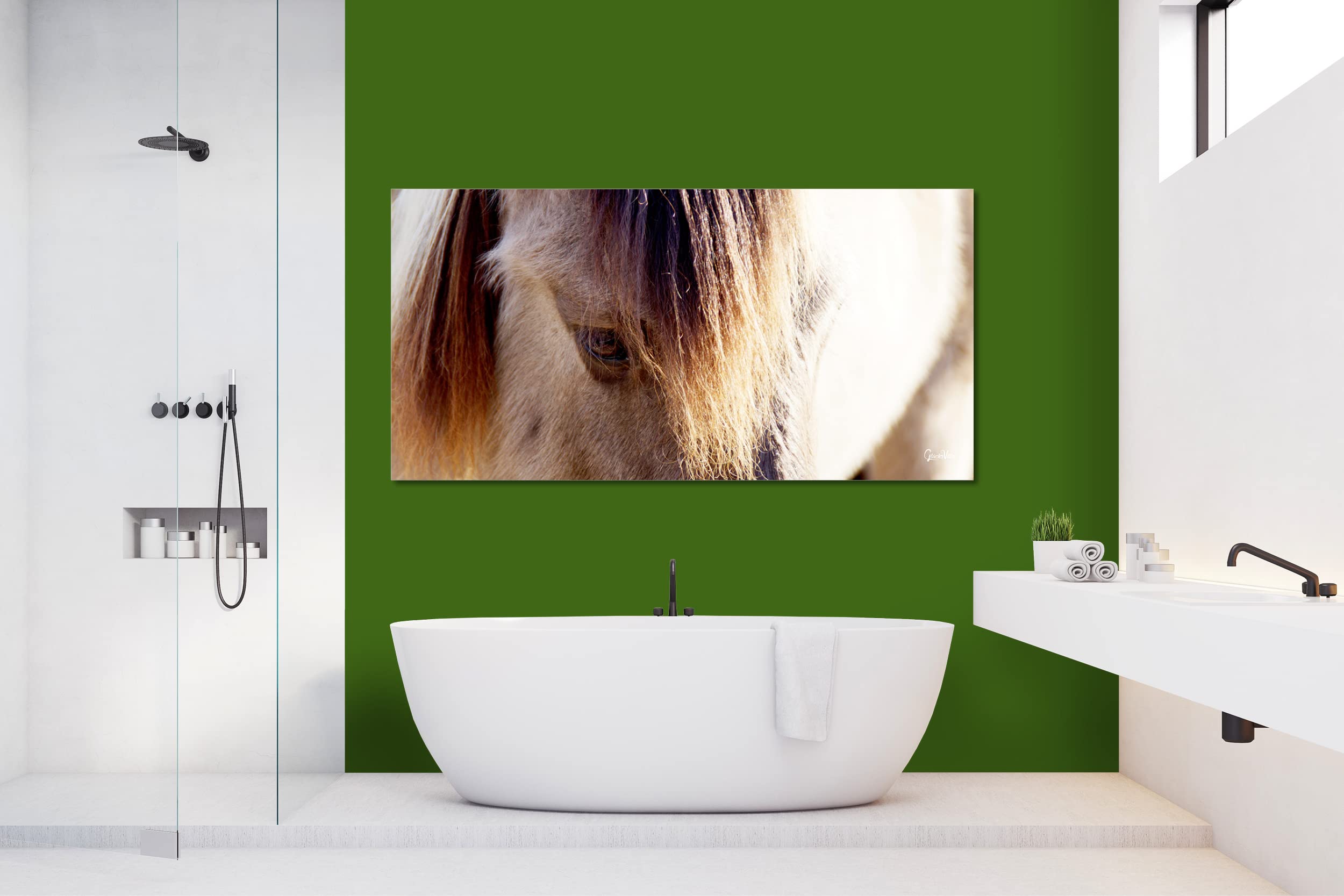 Glücksvilla - Wildpferd 2 (Leinwand-Bild 2 cm, 100 x 50 cm) | div. Maße - aus DE - Kunstdruck Deko Wandbild quer - Pferd Pony Bauernhof Natur Tier