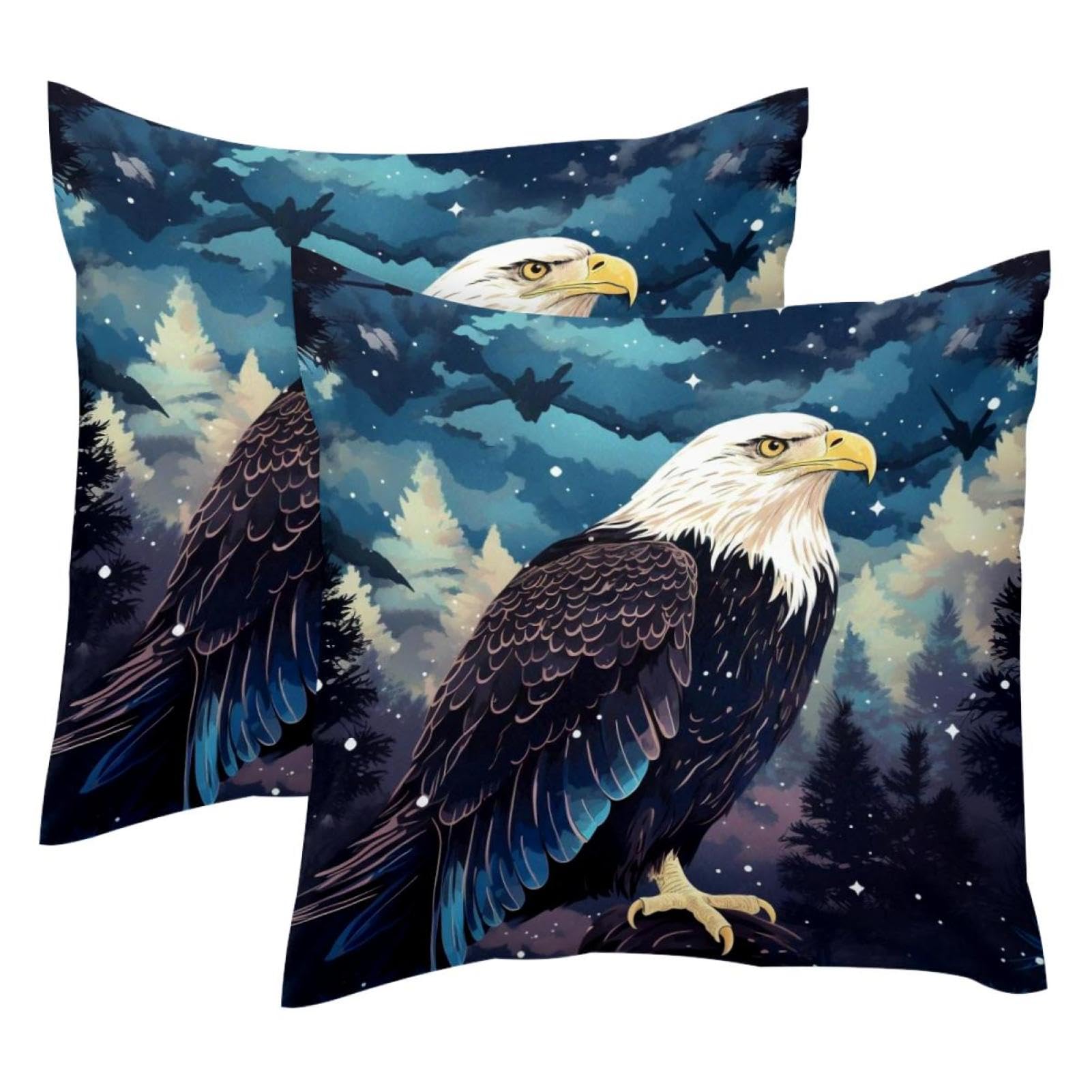 Housses de coussin aigle nuit étoilée pour décorer le canapé du salon