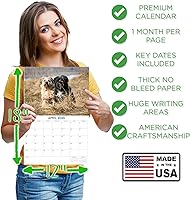 Vista 480 de Razas de Perros 2017