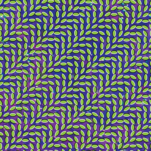 Animal Collective