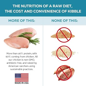 Ketona Chicken Recipe Adult Dry Dog Food, Natural, Low Carb (only 5%), High Protein (46%), Grain-Free, The Nutrition of a Raw Diet with The Cost and Convenience of a Kibble; 4.2lb