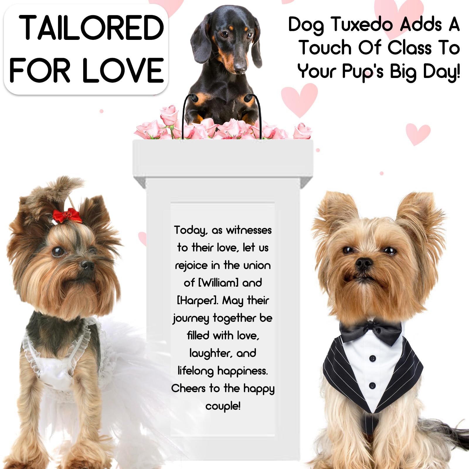 Vetement Chien, Smoking, Noeud Papillon, Chemises pour Chiens, Déguisements pour Petites, Moyennes et Grandes Tailles, Costume pour Mariages et Noël - XL