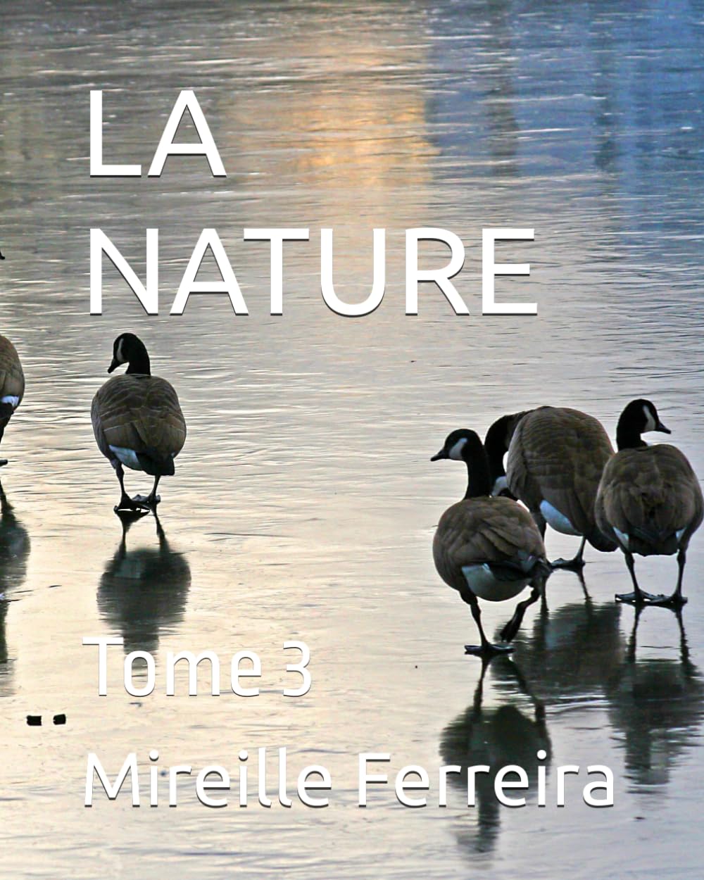 LA NATURE: Tome 3