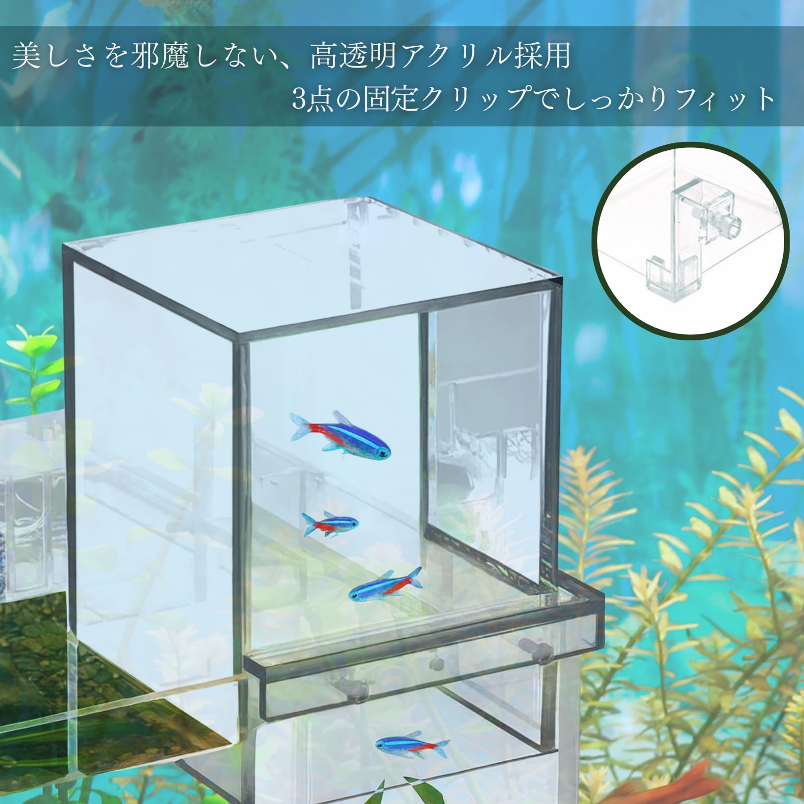 Amazon | アチスメル フィッシュタワー 魚タワー 負圧水槽 空中