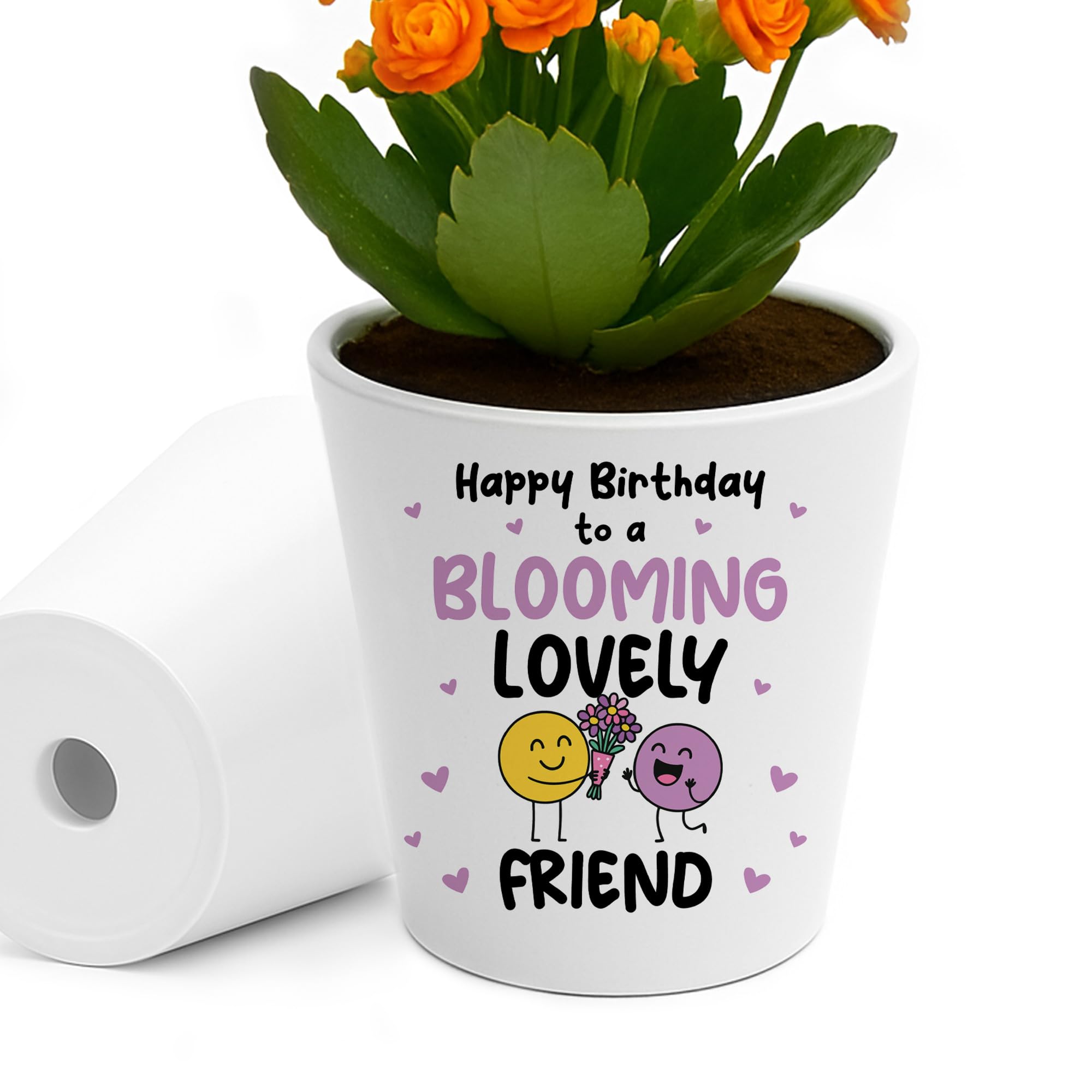 Red Ocean Birthday Gifts for Best Friend Plant Pot Friendship Keepsake Friendship Gifts for Women Friend Birthday Thank You Her Blooming Lovely Present