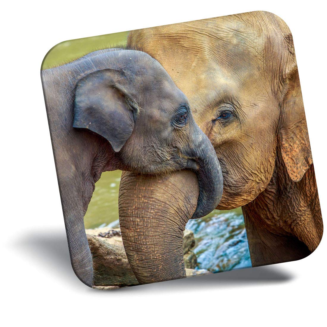 Destination Vinyl Ltd Multicolor Fridge Magnet - Cute Elephants Family Animal 3711