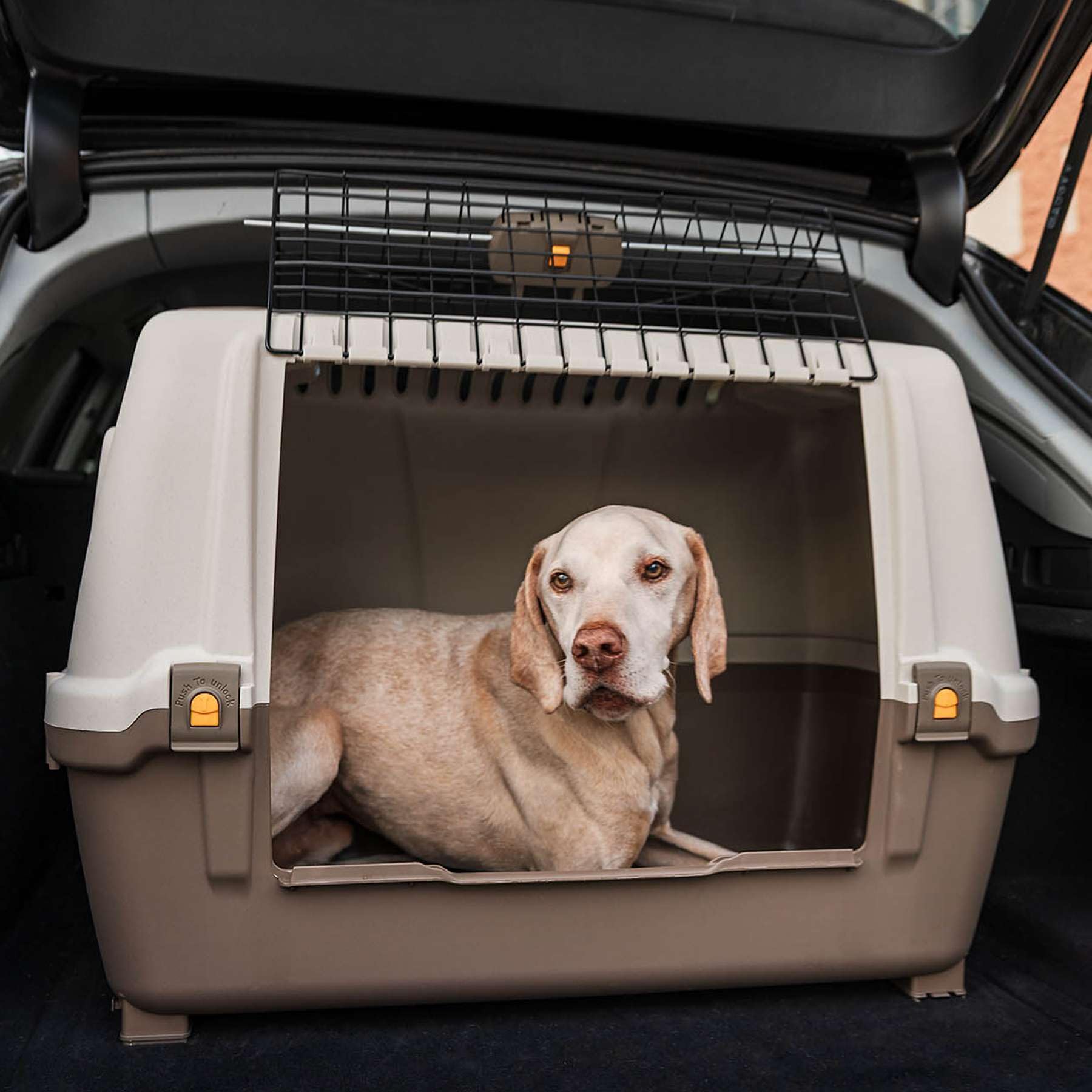 Skudo Car - Boîte de transport pour chien - 89 x 51 x 61 cm