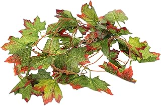 iplusmile Decoração De Sapo Plantas De Caranguejo Adornam Habitat Terrário Para Videiras De Estimação Lagartos Imitados Mais Folhas Cobras Variadas Lagartixas Decorações De Selva Falsas