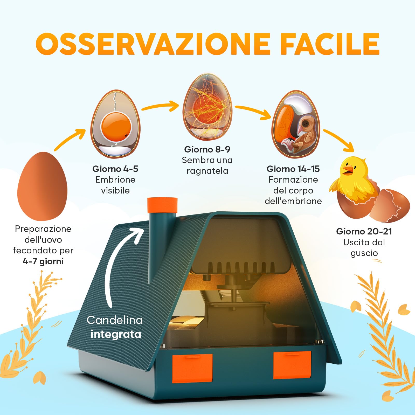 Okkobi M10 Incubatrice per Uova - Ideale per tutte le età - Incubatrice per Uova Automatica Piccola con Girauova Automatico e Controllo Umidità - Lampada per Uova - 10 uova - Verde e Arancione
