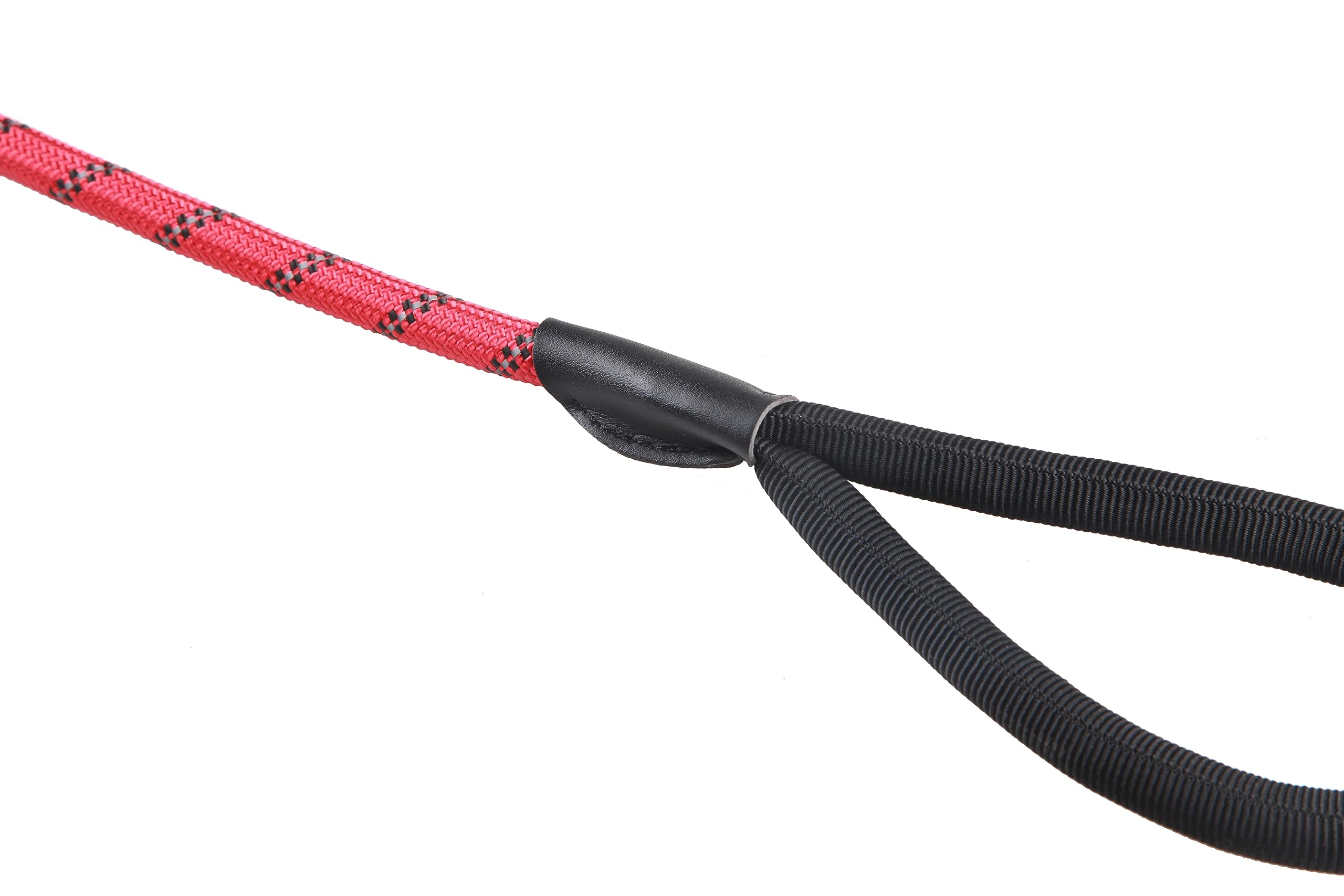 Hundeleine - Länge ca. 2m - Robust mit Karabiner- Ruckdämpfer - komfortabel gepolsterter Griff - reflektierende Leine - Bungee Hundeleine (Grün)