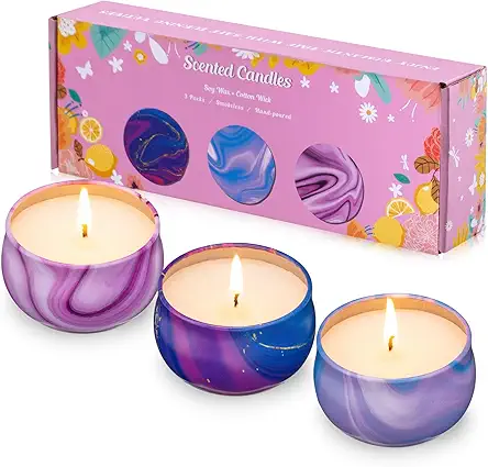 3 Pack Scented Candles, 2.5 oz Aromatherapy Candles...