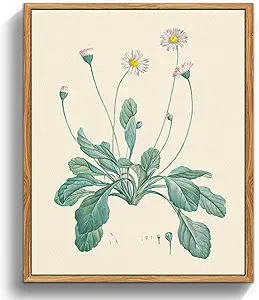 crmotu Botanical Framed Wall Art, Daisy Vintage Decor Pictures, Minimalist Floral Canvas Prints, Still Life Flower Nature Wall Decor, Bathroom Bedroom Above Bed Kitchen Rustic Home Decor, 9x11 inch