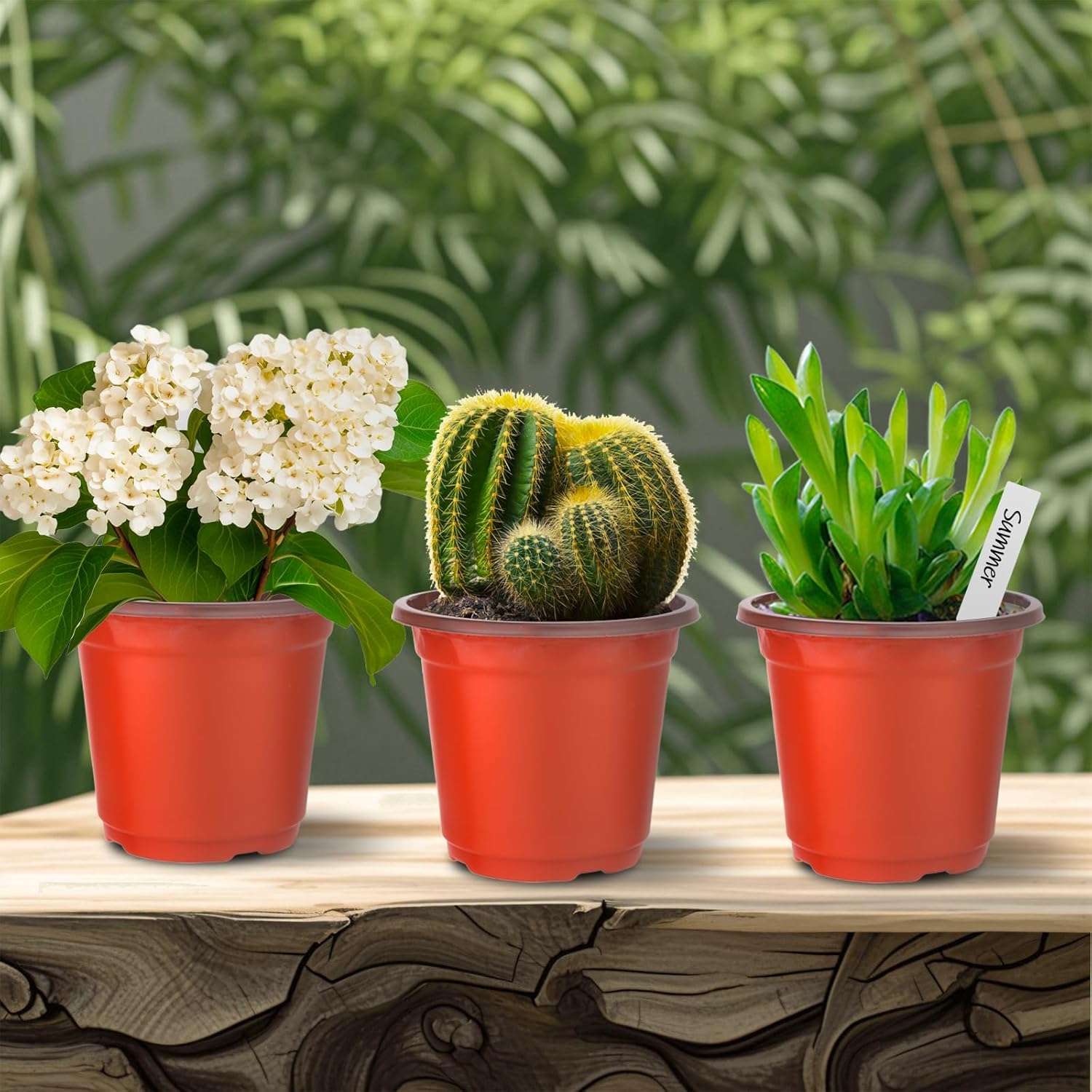 Plant Nursery Pots 100 Pcs, 4 Inch Small Plant Seedling Pots with Labels Seed Starting Pots with Drainage Holes, Plastic Plant Nursery Pots for Succulent Transplanting, Red