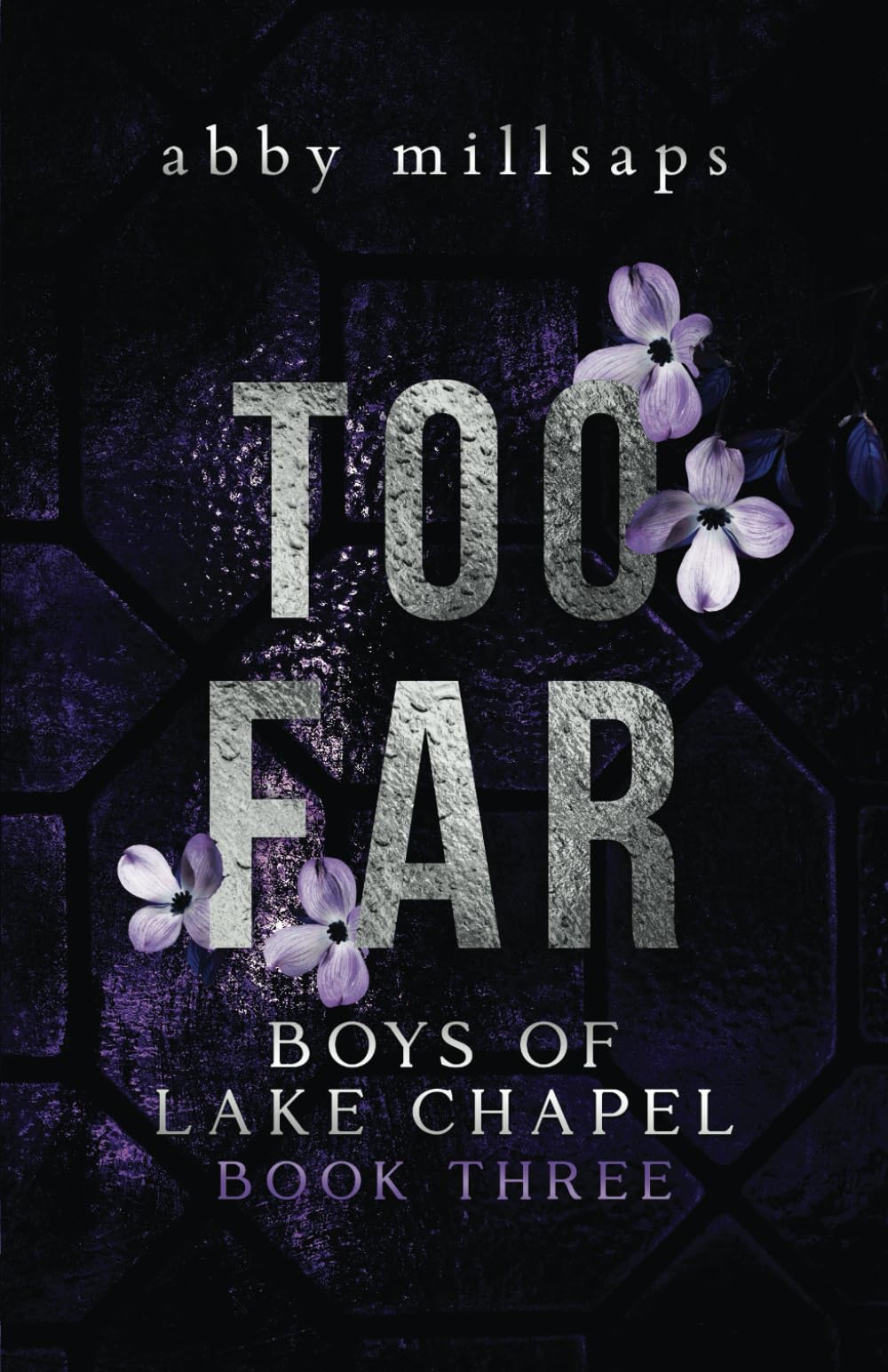 Too Far: A Why Choose Sports Romance: 3 (Boys of Lake Chapel)
