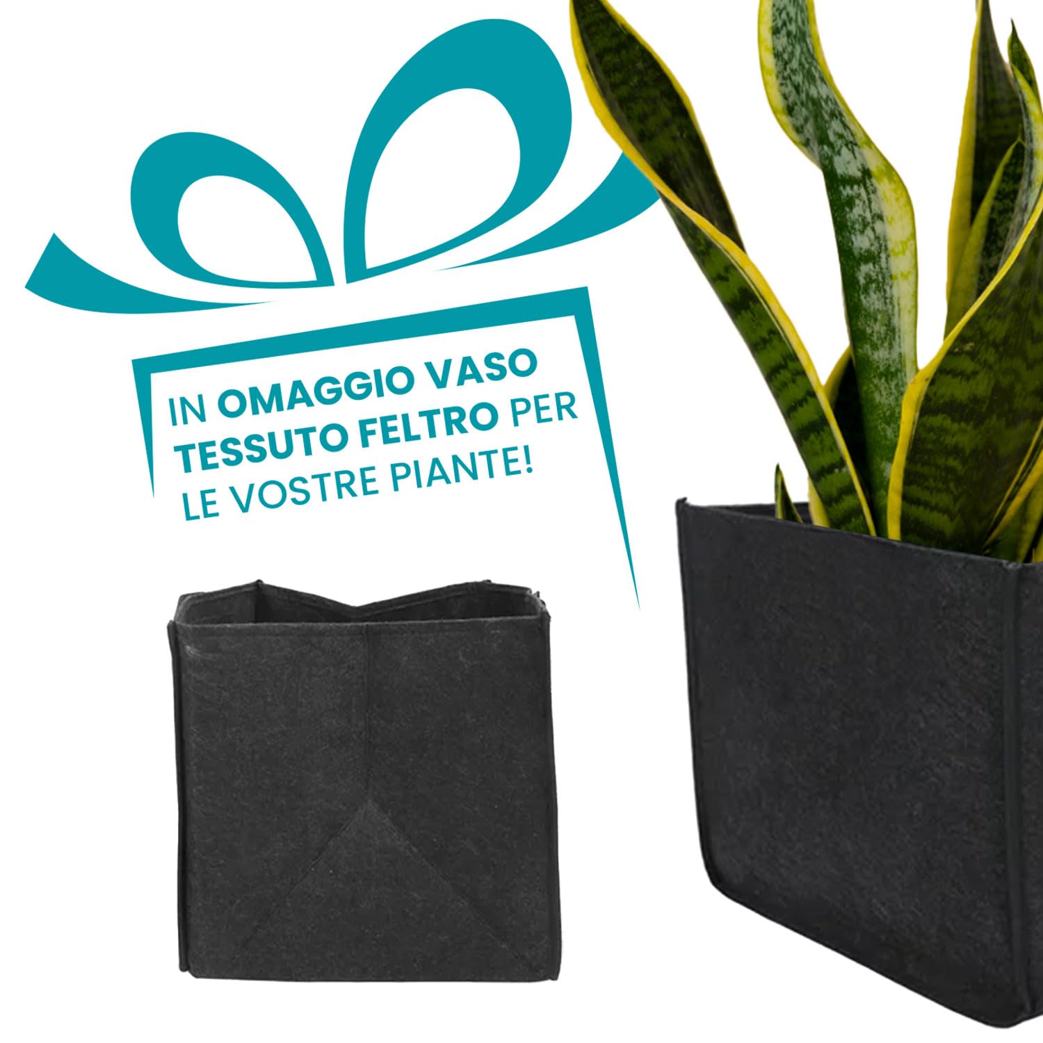 Flur Nymphea Fioriera da Giardino Porta Fiori con Pannello Grigliato in Legno,100x62x23 Cm