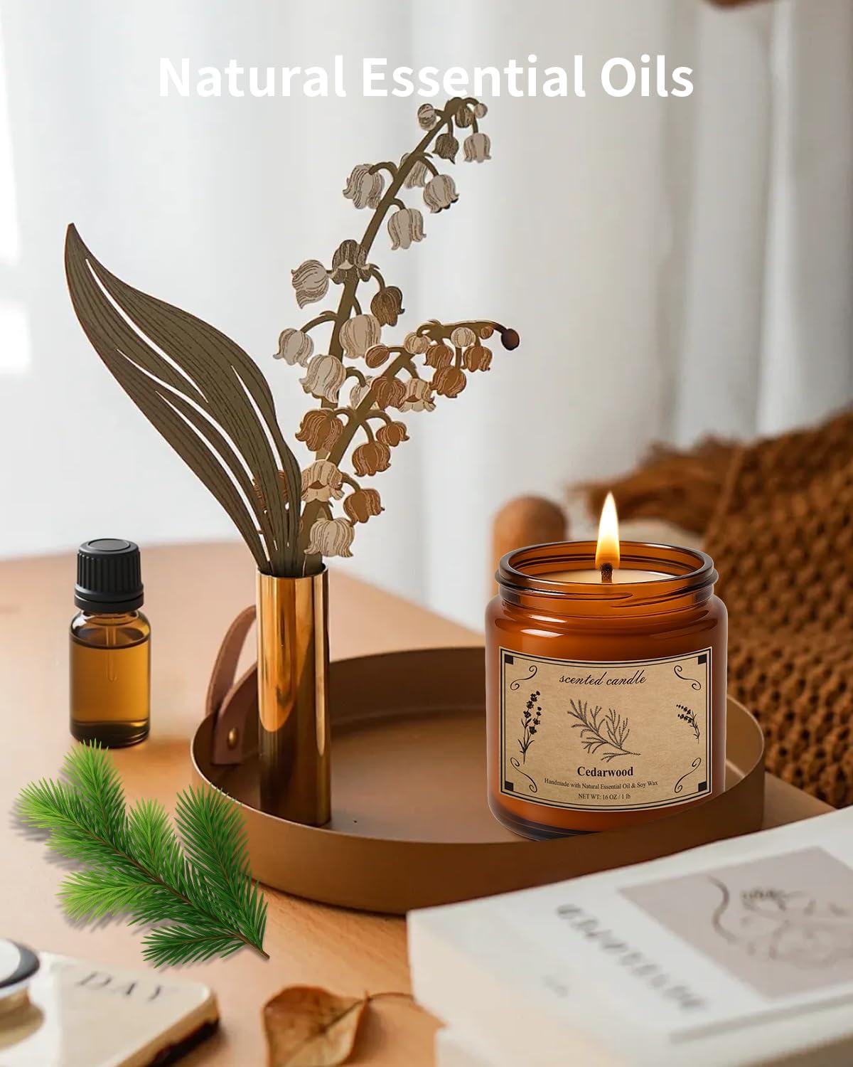 Candles for Home Scented, 16oz Large Jar Scented Candle – Cedarwood Soy Wax Candle with 100 Hour Burn Time, Long Lasting Aromatherapy Candle for Cozy Home Fragrance, Relaxation & Decorative Gift - Image 2