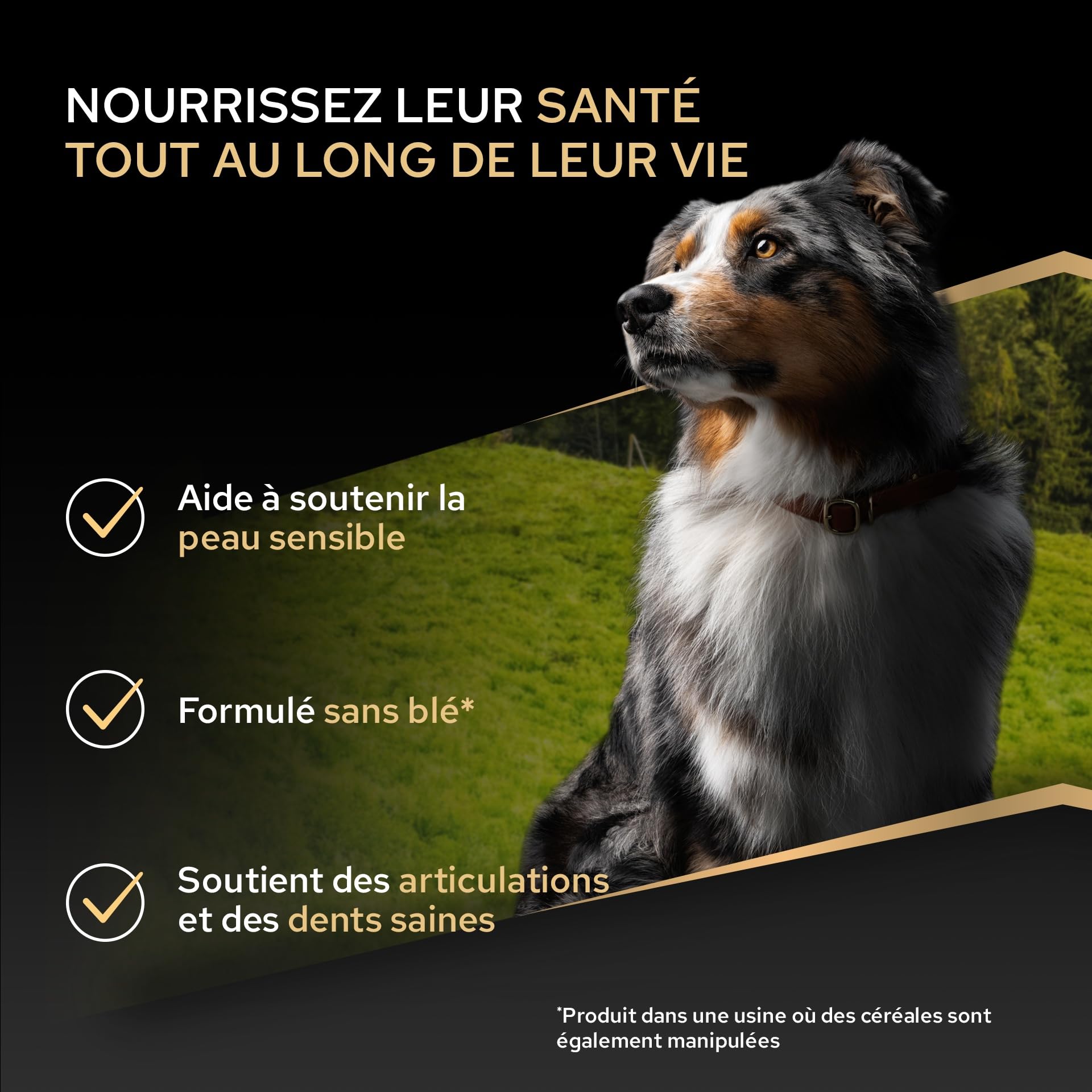 Purina Pro Plan - Sensitive Skin - Croquettes Chien Moyen Saumon - 16 kg | Croquettes Chien Moyen Peau Sensible Saveur Saumon - Pelage brillant et soutien digestif sans blé - Santé Chien