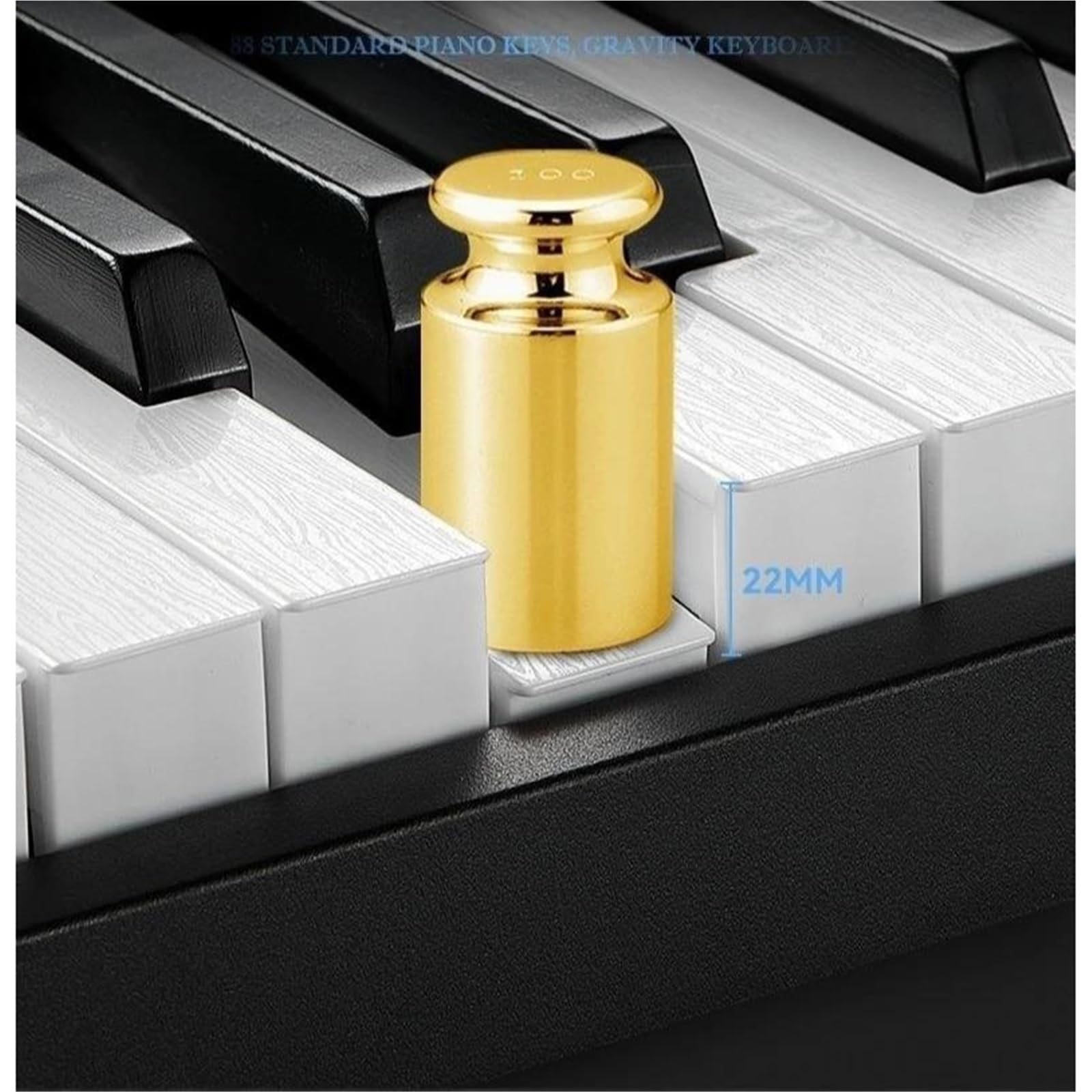 Tastiera Elettronica Professionale Pianoforte Elettrico Pieghevole Portatile 88 Tasti Per Principianti Adulti Strumenti A Tastiera Professionali Organo Elettronico(Black)