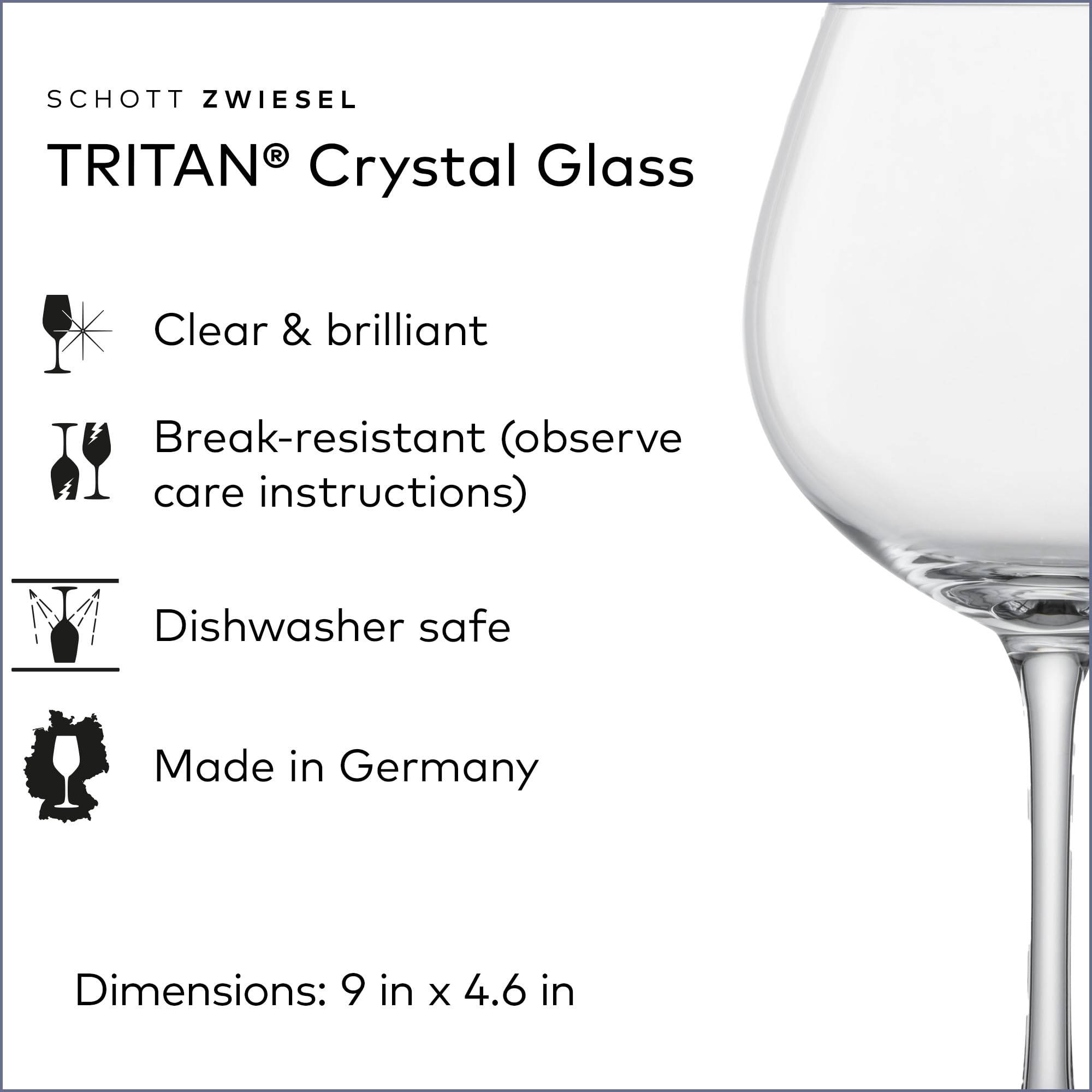 Wijnglas/Goblet Bourgogne Schott Zwiesel Fine (6-delig