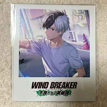 Amazon.co.jp: WIND.BREAKER ウィンヒロ 不良たちの英雄譚