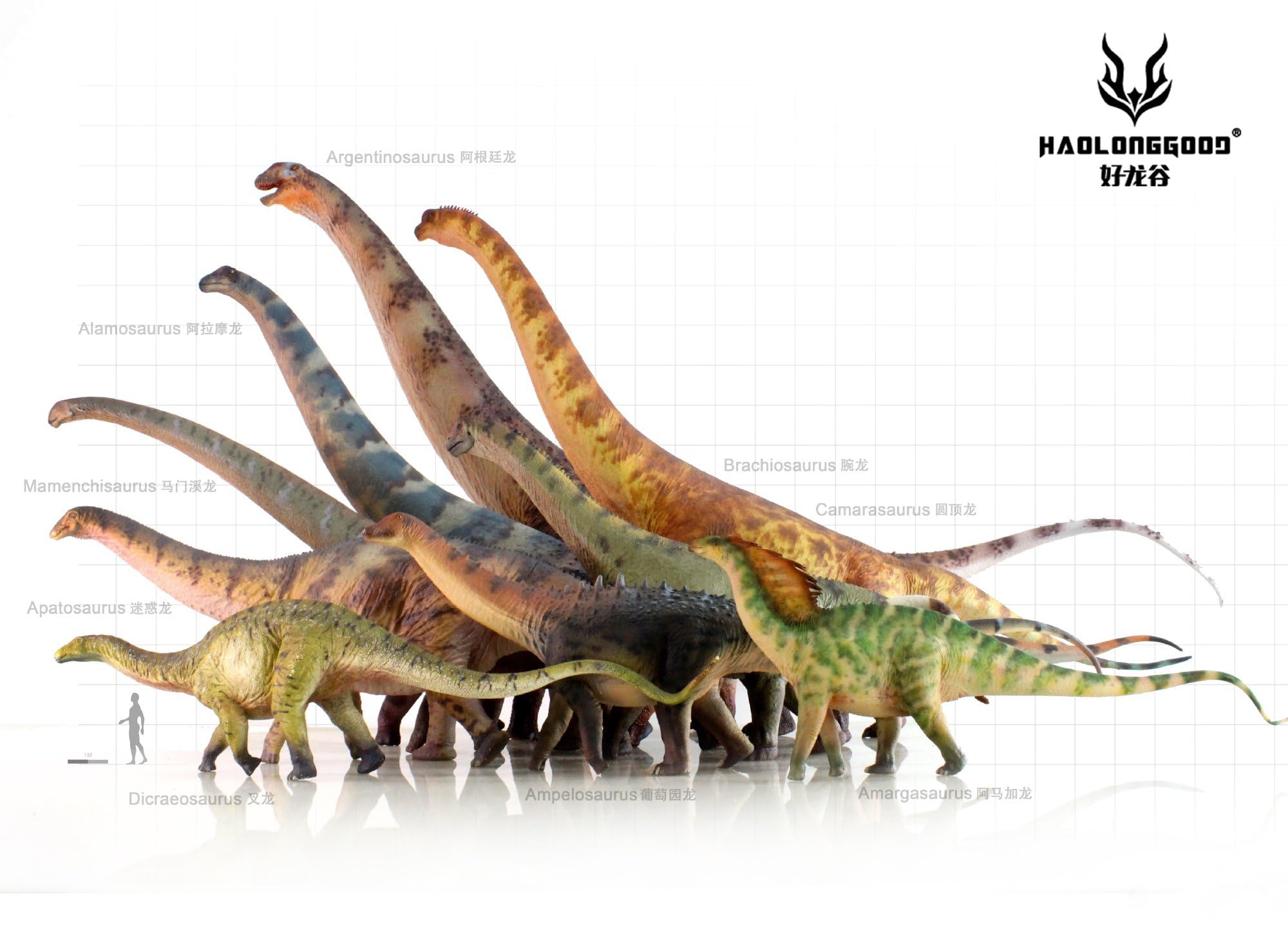 Amazon | HAOLONGGOOD 1/35サイズ ブラキオサウルス 59cm級 竜盤目