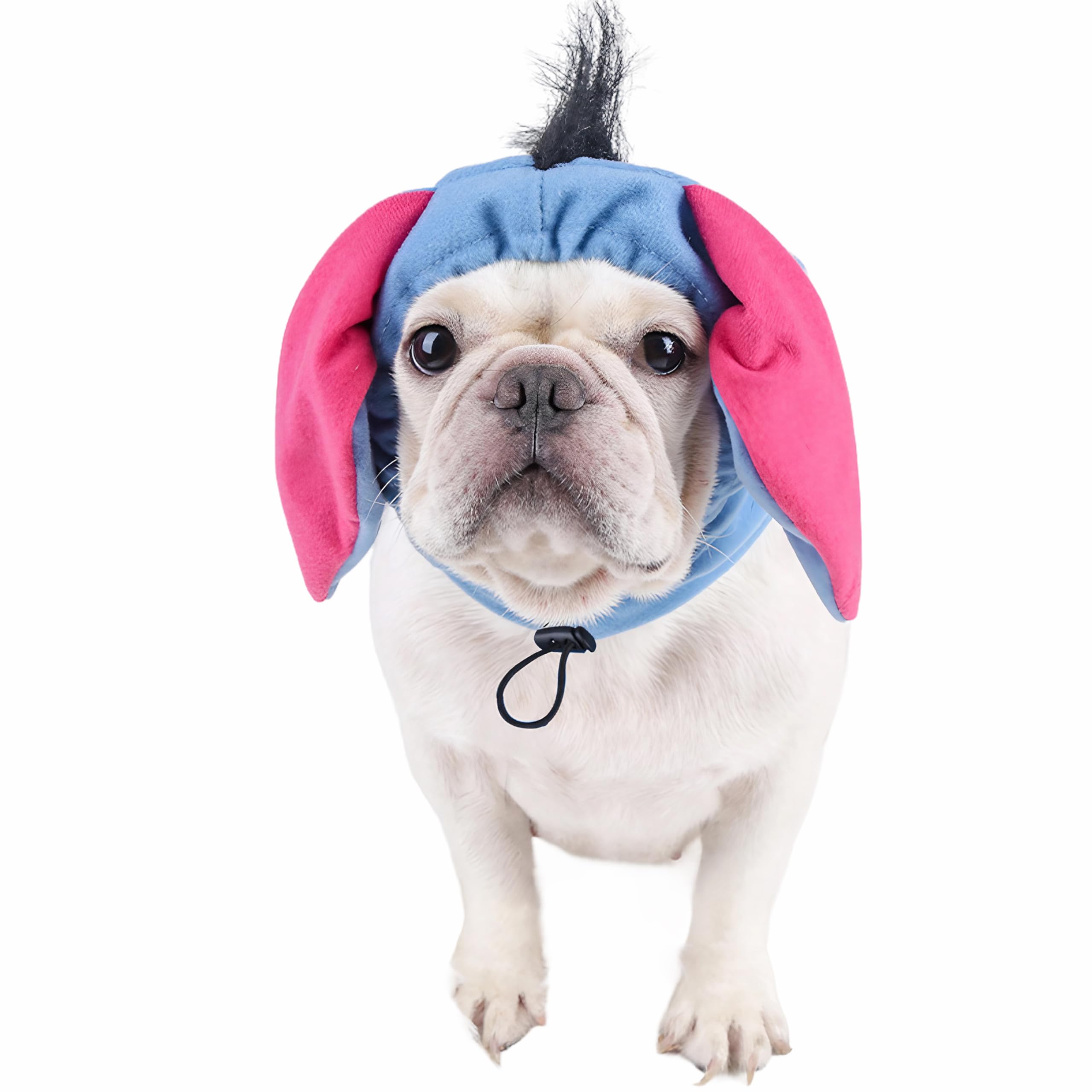 Urnen Anhänger Hund Süße Münzbörse Mit Ohren – Als Schlüsselanhänger Mit  Hunde- Oder Katzenmotiv (Mops, Ingwer) Mops Katze Hund Motiv, image size:2560x2560