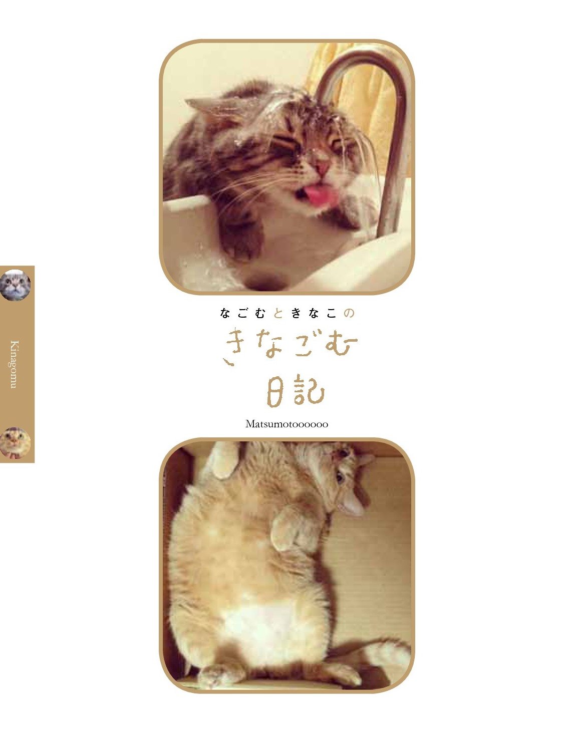 なごむときなこの きなごむ日記 Matsumotoooooo