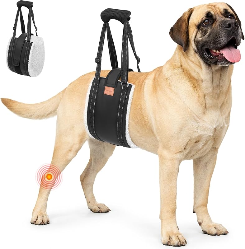 Peitoral tipo sling ajustável LOOBANI para suporte das patas traseiras de cães grandes