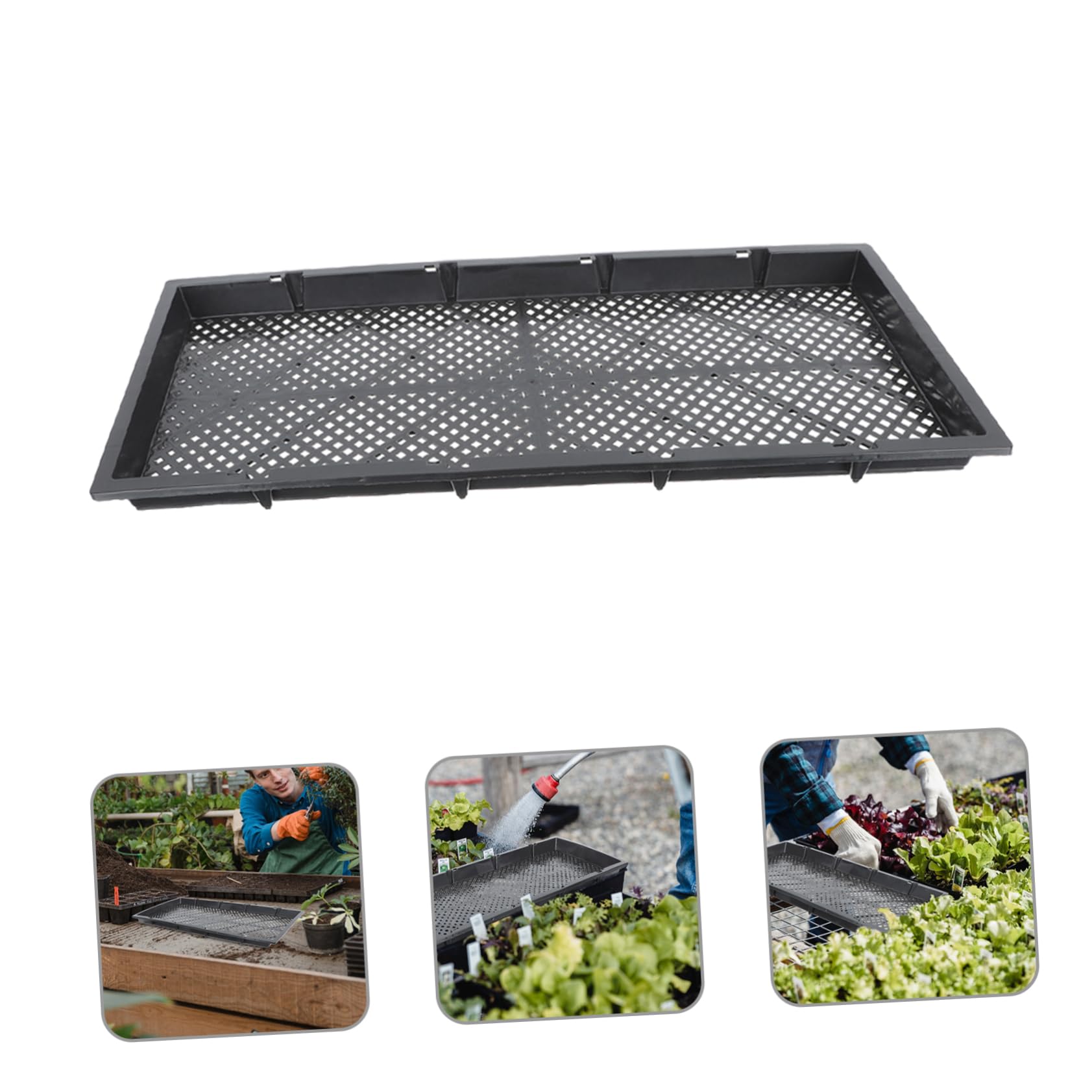 Cabilock Plateaux de Germination de La Pépinière 3Pcs Plateaux de Germination Plateaux Plateaux de Culture de La Pépinière Multi- Trou