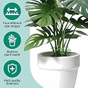 20 Pack Plant Support Clips for Climbing Plants 6 Claw Plastic Stem Holders Durable Plant Support Rings for Vines Creepers Indoor Outdoor Gardening Wall Fixing Plant Supports gallery image