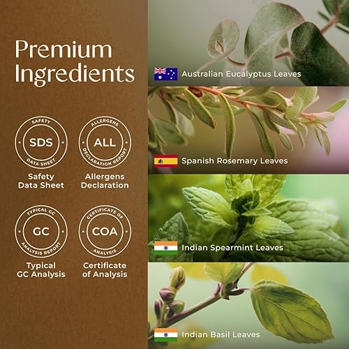 Miniatura 6 de Gya Labs Mezcla de aceites esenciales para el dolor de cabeza para difusor, aromaterapia, masaje y bricolaje – Ingredientes naturales 100% puros de