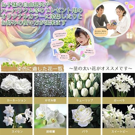 Amazon Co Jp フラワーパレット 切り花染色剤 自由研究 フラワーアレンジメント プレゼント 6色セット ホビー