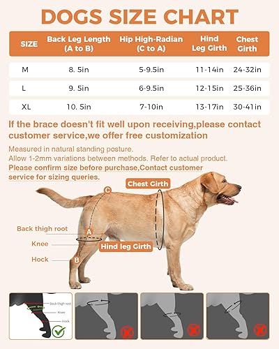 Miniatura 4 de Rodillera para Perro para ACL/CCL Desgarrado Pata Trasera, Soporte Ajustable con Suficiente Envoltura y Soporte y Rótula Luxante, Soporte Articular