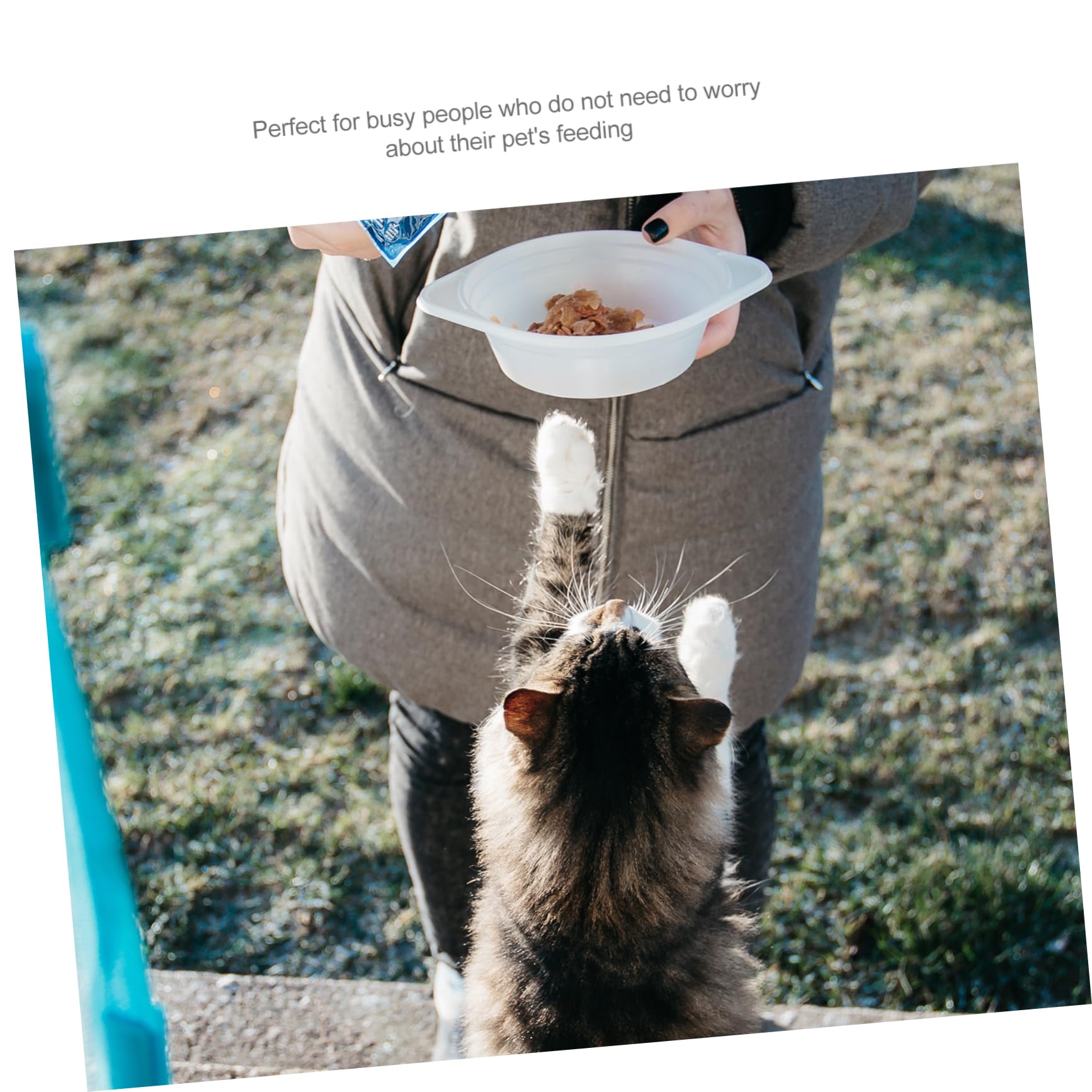 Dispenser Automatico per Alimenti per Animali, Tipo a Secchio | Pp Leggero, Uso Semplice, per Gatto e Pet, Soluzione Indoor Ciotola Integrata
