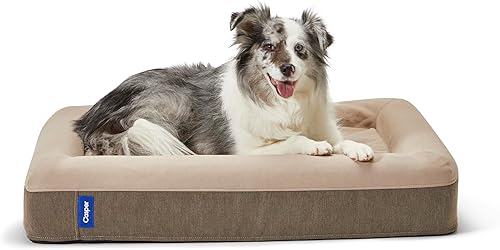 Casper - Cama para perro de espuma viscoelástica de felpa, S, Arena