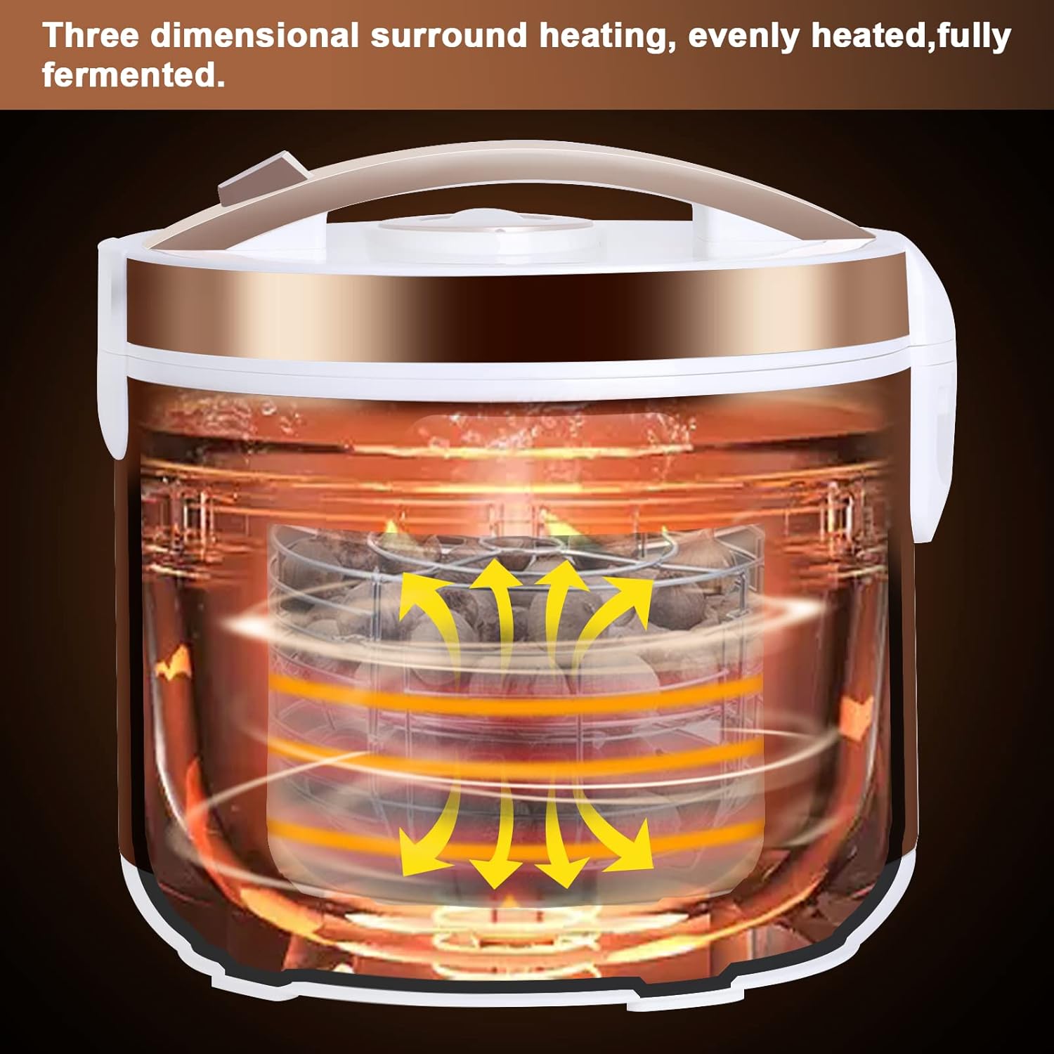 Black Garlic Fermenter Automatic Intelligent Ferment Box 6L 7-Day Rapid Fermentation Black Garlic Sweet Rice Wine Maker Natto Maker Yogurt Pot (110V)