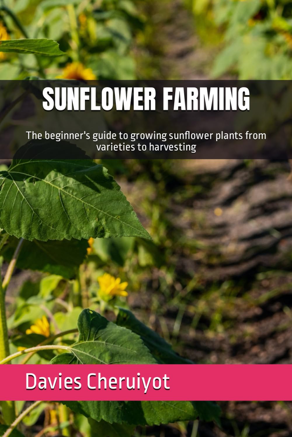 Sunflower Farming: The beginner's guide to growing sunflower plants f