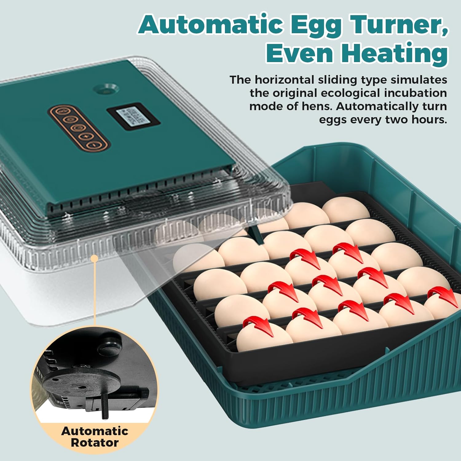25 Eggs Incubator, Incubators for Hatching Eggs, with Automatic Egg Turning and Humidity Control, Egg Candler, Auto Water Replenishment, for Hatching Quail, Chicken, Duck, Goose Eggs (Dark Green)