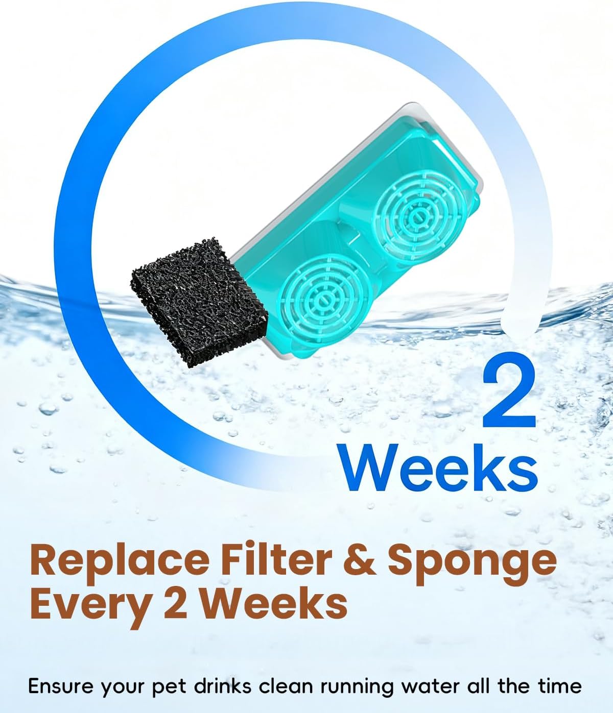 Graphic indicating to replace filter and sponge every 2 weeks