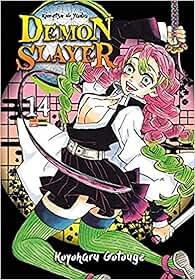 Demon slayer - kimetsu no yaiba vol. 14