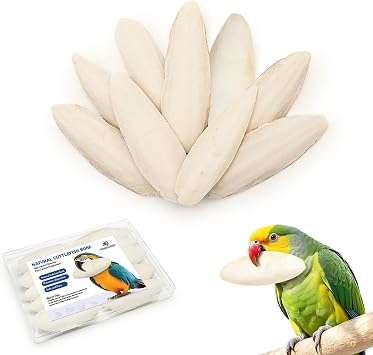 10 Pieces Cuttlefish Bone, Natural Cuttlefish for Birds, 3.15-4.33 Inches