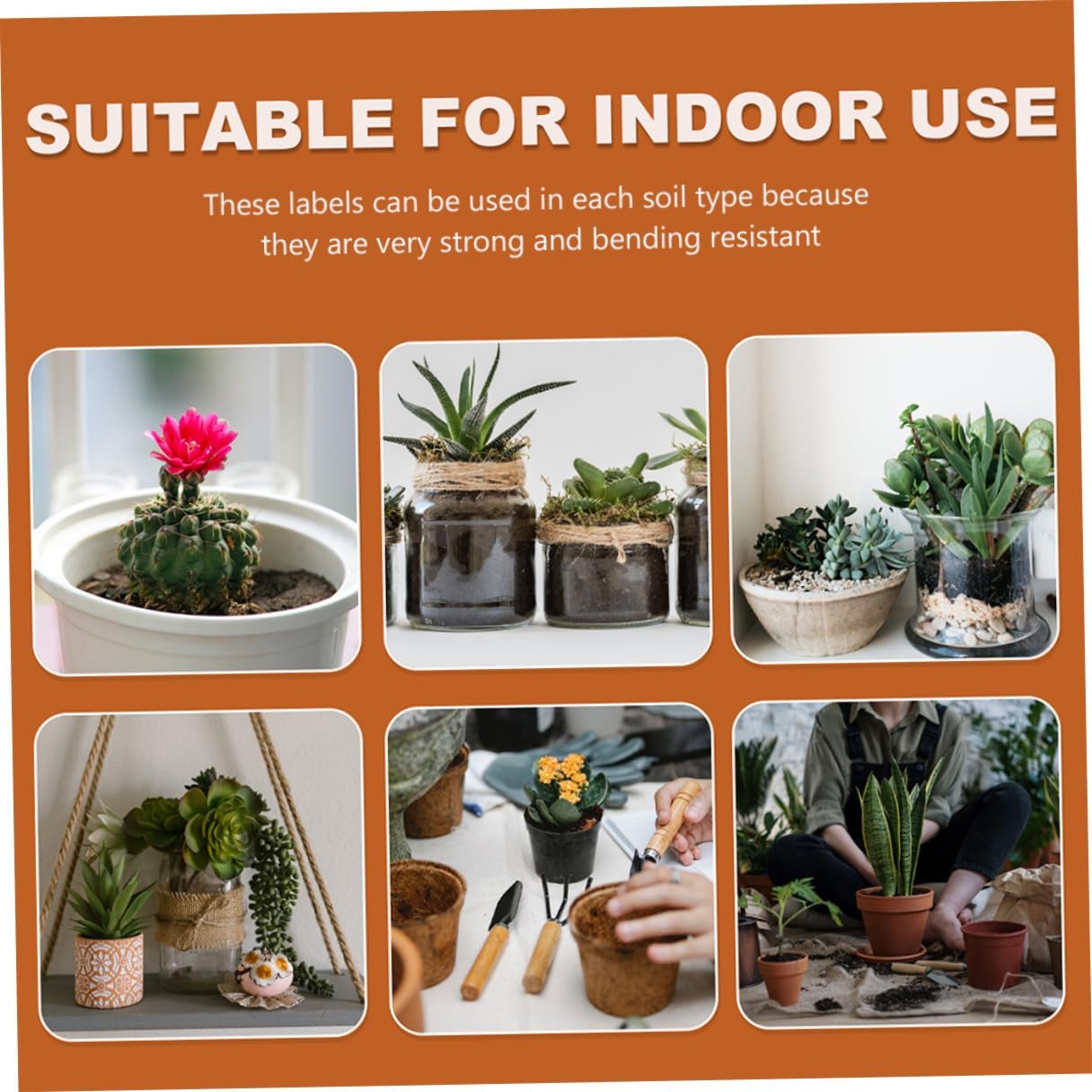 Angoily 600pcs Plastic Plant Labels Stakes Gardening Markers for Pots and Garden Beds, Waterproof Small Insert Tags 10x1.8cm Set for Outdoor Plant Identification