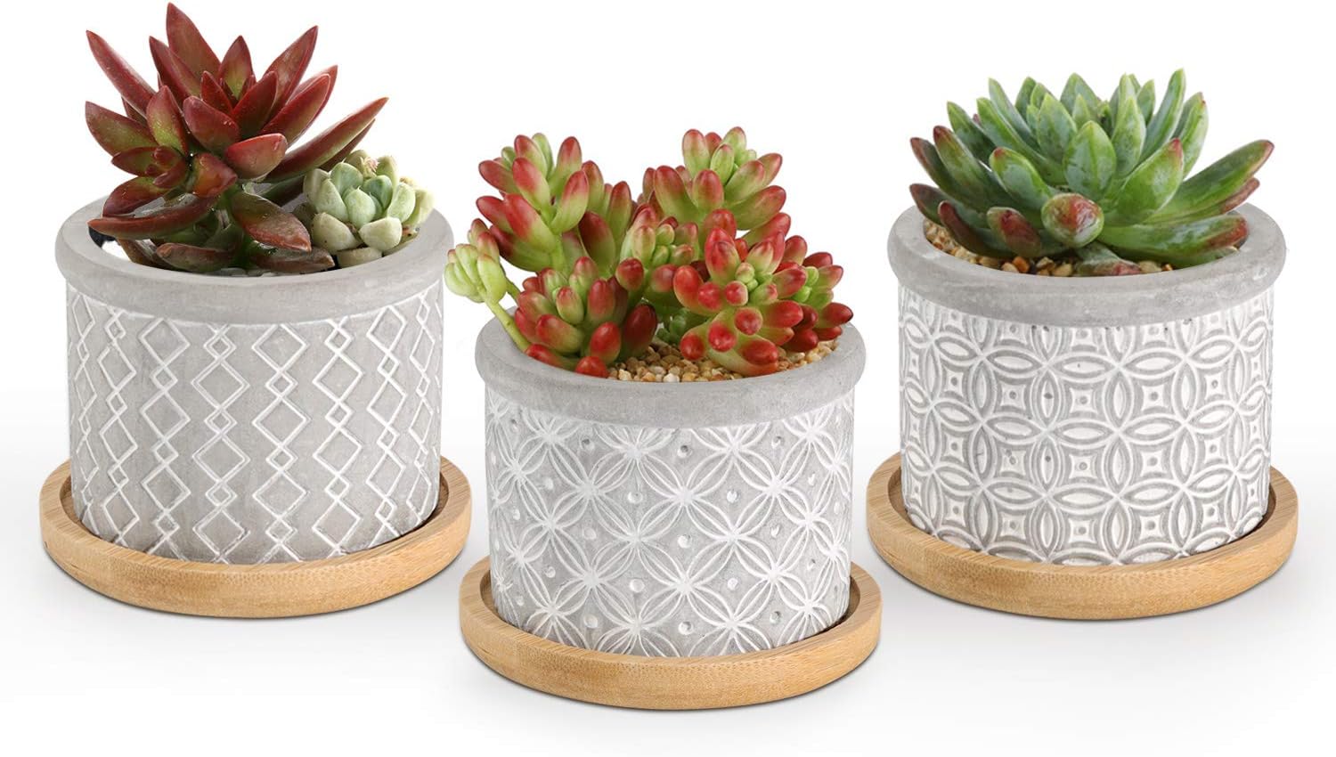 Mkouo 8cm Mini Cement Succulent Planter Modern Concrete Cactus Plant Pots Small Clay Indoor Herb Window Box Container for Home and Office Decor, Set of 4